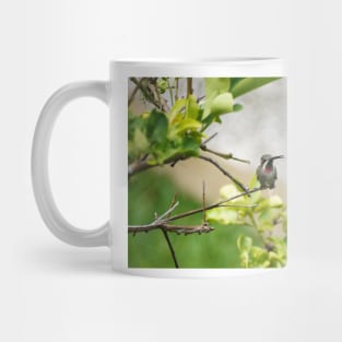 slb hummingbird Mug